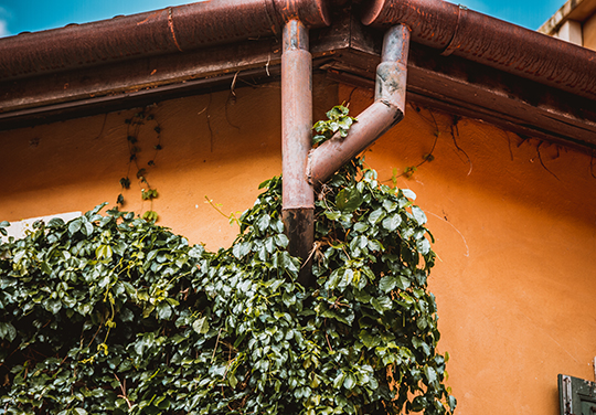 Port Chester Gutter Repair