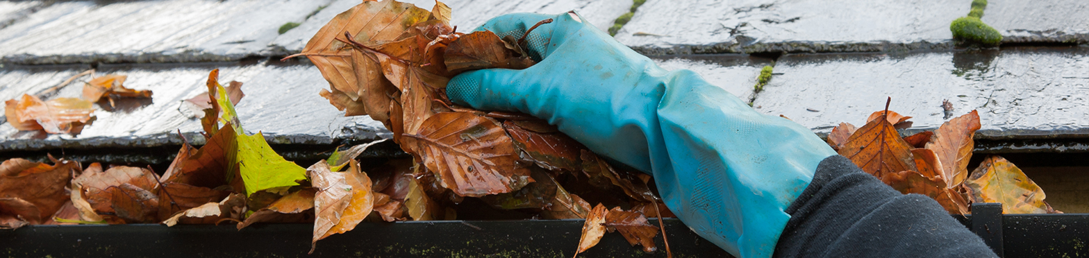 gutter repair services Westchester