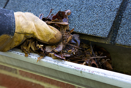 Mamaroneck gutter cleaning services
