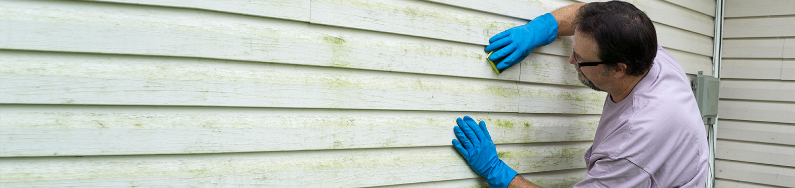 Siding Repair Contractors Westchester